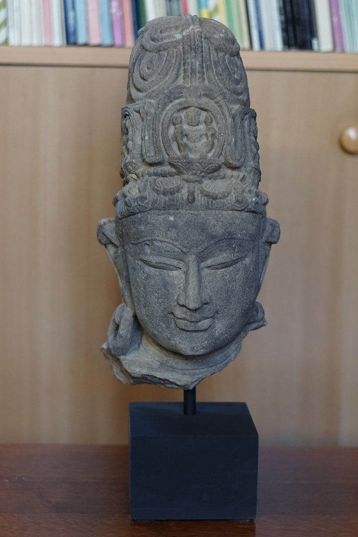 stone head of Bodhisattva. Gupta period ca: 550-700 A.D