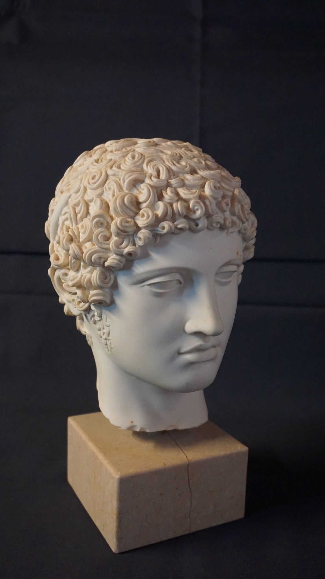 Vintage Greek style Head of Hera