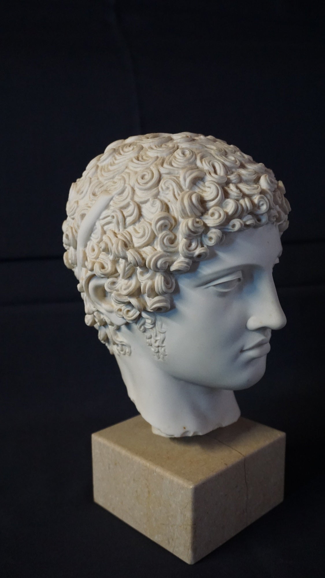 Vintage Greek style Head of Hera