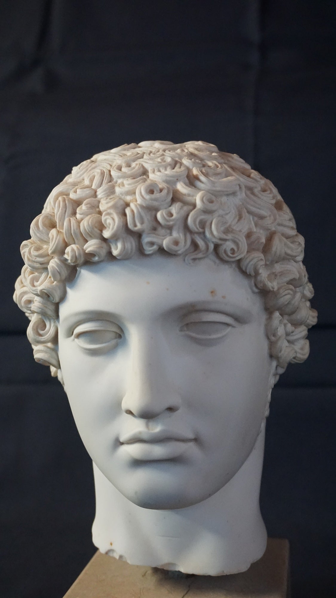 Vintage Greek style Head of Hera