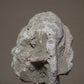 Stucco Head of a Scholar - Kushan period 300 AD Hadda-Afghanistan